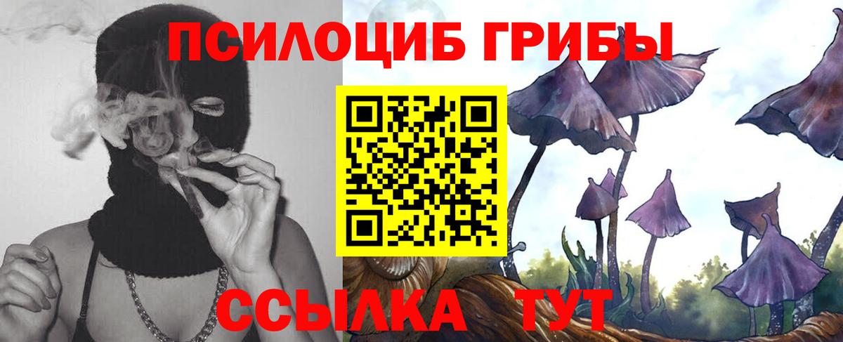 Галлюциногенные грибы Cubensis  Вход с VPN  Кизилюрт 
